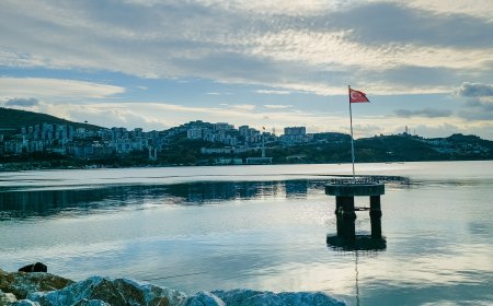 Türk Bayrağı Eşliğinde Gemlik Manzarası: Doğanın ve Tarihin Buluşma Noktası