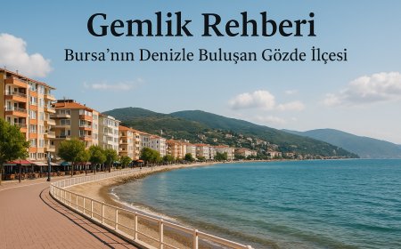 Gemlik Rehberi: Bursa’nın Denizle Buluşan Gözde İlçesi