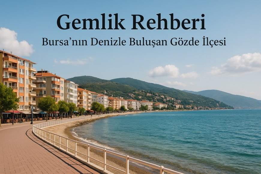 Gemlik Rehberi: Bursa’nın Denizle Buluşan Gözde İlçesi